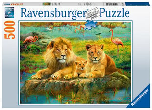 Dėlionė Ravensburger Savanos liūtai/Lions in the Savannah, 500 d., 16584 kaina ir informacija | Dėlionės (puzzle) | pigu.lt