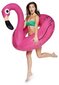 Baseino Plaustas Bigmouth Didelis Flamingas 120 cm цена и информация | Pripučiamos ir paplūdimio prekės | pigu.lt