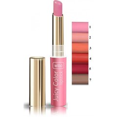 Lūpų dažai/balzamas 2in1 Wibo Juicy Color Lipstick, Nr.4, 2,5 ml kaina ir informacija | Lūpų dažai, blizgiai, balzamai, vazelinai | pigu.lt