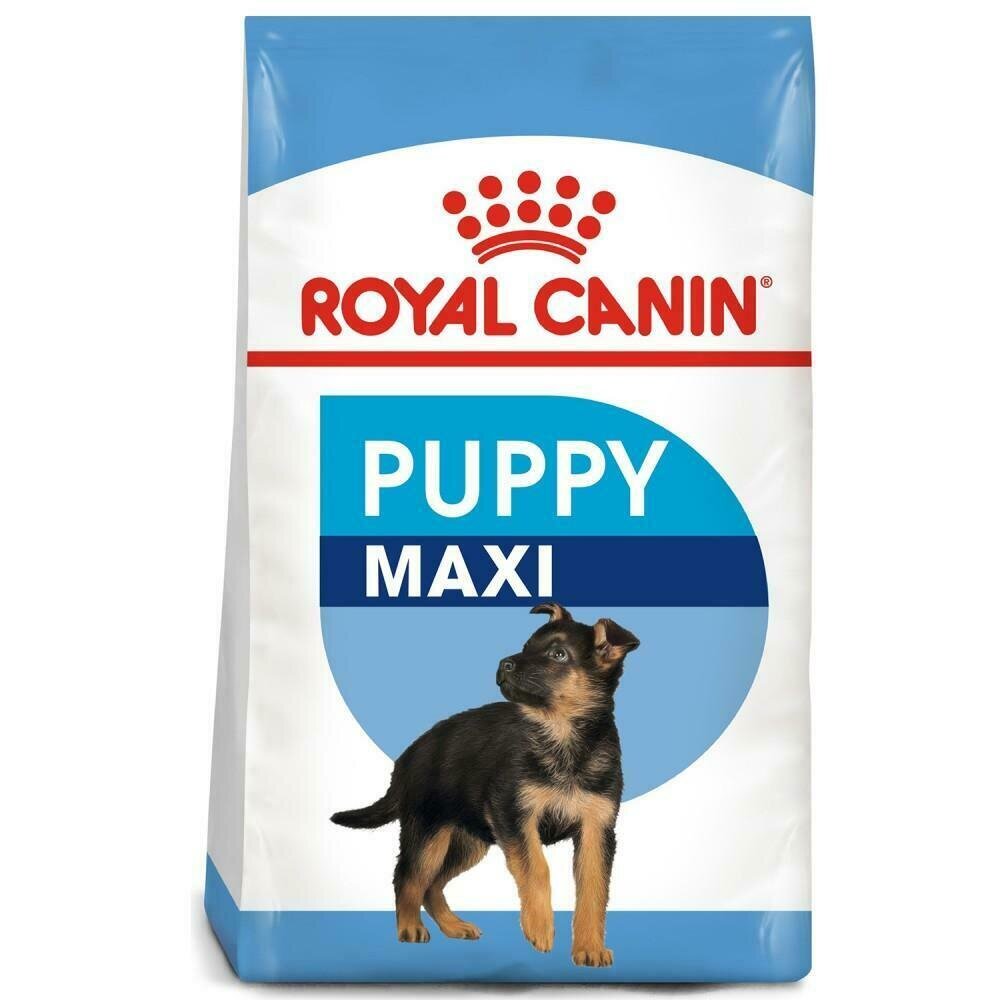 Royal Canin Maxi Junior šunims, 15 kg цена и информация | Sausas maistas šunims | pigu.lt