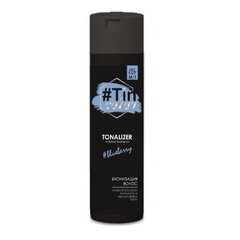 Dažomasis šampūnas TinColor Shampoo Blueberry M/1, 250 ml kaina ir informacija | Plaukų dažai | pigu.lt
