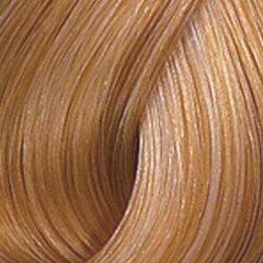 Plaukų dažai Wella Color Touch Plus 88.03, 60 ml kaina ir informacija | Plaukų dažai | pigu.lt