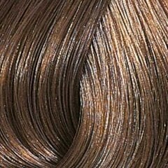 Plaukų dažai Wella Color Touch Plus 66.07, 60 ml цена и информация | Краска для волос | pigu.lt
