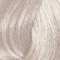 Plaukų dažai Wella Color Touch Vibrant Reds 60 ml 10.6 kaina ir informacija | Plaukų dažai | pigu.lt