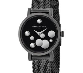Женские часы Pierre Cardin CCM.0500 цена и информация | Женские часы | pigu.lt