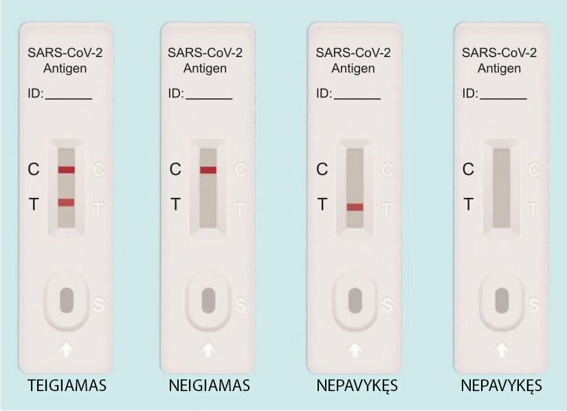 COVID-19 antigeno greitojo nustatymo seilių testas NORMAN, 25 vnt kaina ir informacija | COVID-19 greitieji testai | pigu.lt