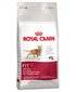 Royal Canin Cat Fit 2 kg цена и информация | Sausas maistas katėms | pigu.lt