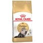 Royal Canin Persian 2 kg kaina ir informacija | Sausas maistas katėms | pigu.lt