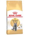 Сухой корм Royal Canin для британских короткошерстных кошек, 2 кг