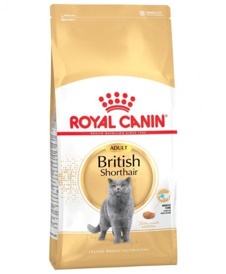 Royal Canin britų trumpaplaukėms katėms, 2 kg цена и информация | Sausas maistas katėms | pigu.lt