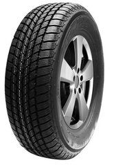 Mastersteel WINTER + 195/65R15 91 H kaina ir informacija | Žieminės padangos | pigu.lt