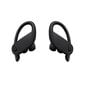 Powerbeats Pro Totally Wireless Earphones Black - MY582ZM/A цена и информация | Ausinės | pigu.lt