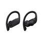 Powerbeats Pro Totally Wireless Earphones Black - MY582ZM/A kaina ir informacija | Ausinės | pigu.lt