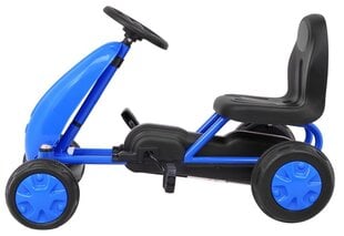 Велокартинг для детей GoKart  цена и информация | Электромобили для детей | pigu.lt