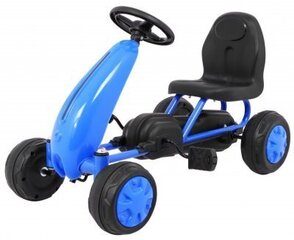RoGer GoKart Велокартинг для детей Синий цена и информация | Игрушки для мальчиков | pigu.lt