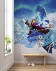 Фотообои Frozen Elsas Magic цена и информация | Фотообои с инструментом и клеем - Бежевые листья эвкалипта, 400x280 см | pigu.lt