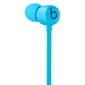 Beats Flex – All-Day Wireless Earphones - Flame Blue - MYMG2ZM/A kaina ir informacija | Ausinės | pigu.lt