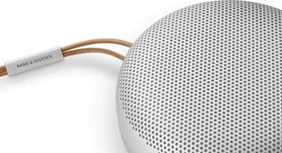 Bang & Olufsen Beosound A1 2nd Gen Grey Mist цена и информация | Аудиоколонки | pigu.lt