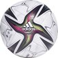 Futbolo kamuolys Adidas Conext 21, 5 dydis kaina ir informacija | Futbolo kamuoliai | pigu.lt