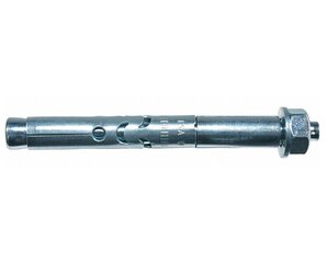 Ankeris su veržle FSA B 10/60 10x119 mm kaina ir informacija | Tvirtinimo detalės | pigu.lt
