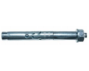 Ankeris su veržle FSA B 12/25 12x96 mm цена и информация | Крепежные изделия | pigu.lt