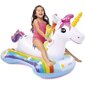 Pripučiamas plaustas Intex Unicorn Ride-On, 163x86 cm kaina ir informacija | Pripučiamos ir paplūdimio prekės | pigu.lt
