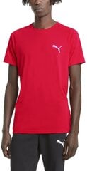 Футболка Puma Evostripe Tee Hig Red цена и информация | Мужская спортивная одежда | pigu.lt