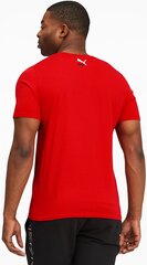 Marškinėliai vyrams Puma, raudoni kaina ir informacija | Vyriški marškinėliai | pigu.lt