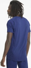 Puma Футболки Evostripe Tee Ele Blue цена и информация | Футболка мужская | pigu.lt