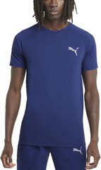 Puma Футболки Evostripe Tee Ele Blue цена и информация | Футболка мужская | pigu.lt