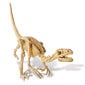 Archeologo rinkinys "Iškask dinozaurą Velociraptorių" 4M kaina ir informacija | Lavinamieji žaislai | pigu.lt