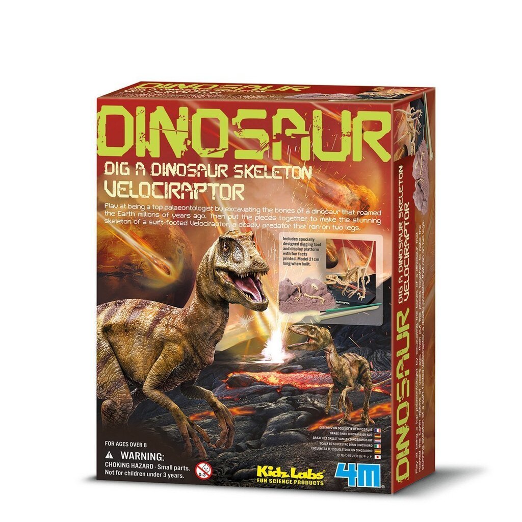 Archeologo rinkinys "Iškask dinozaurą Velociraptorių" 4M kaina ir informacija | Lavinamieji žaislai | pigu.lt