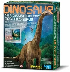 Archeologo rinkinys "Iškask dinozaurą Brachozaurą" 4M kaina ir informacija | Lavinamieji žaislai | pigu.lt