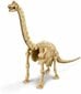 Archeologo rinkinys "Iškask dinozaurą Brachozaurą" 4M цена и информация | Lavinamieji žaislai | pigu.lt