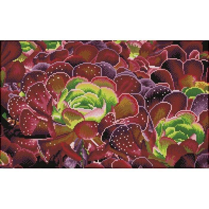 Deimantinė mozaika Succulents, 32x52 kaina ir informacija | Deimantinės mozaikos | pigu.lt