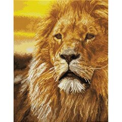 Deimantinė mozaika Lord Of The Serengeti, 45x35 kaina ir informacija | Deimantinės mozaikos | pigu.lt