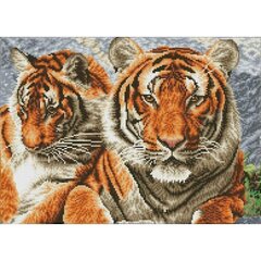 Алмазные мозаичные Tigers, 37x51 цена и информация | Алмазная мозаика | pigu.lt