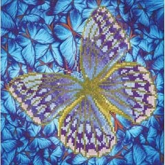Алмазная мозаика Flutter By Silver, 30x30 цена и информация | Алмазная мозаика | pigu.lt