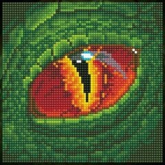 Deimantinė mozaika Dragon Eye, 20x20 kaina ir informacija | Deimantinės mozaikos | pigu.lt