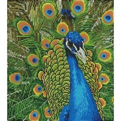 Алмазная мозаика Peacock, 37 x 50 цена и информация | Алмазная мозаика | pigu.lt