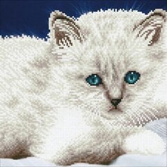 Deimantinė mozaika White Cat, 32x40 kaina ir informacija | Deimantinės mozaikos | pigu.lt