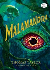 Malamandra цена и информация | Книги для подростков  | pigu.lt