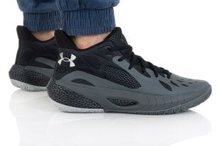 Кеды мужские Under Armour HOVR Havoc 3 3023088-101,черные цена и информация | Кроссовки для мужчин | pigu.lt