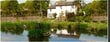 Dekoratyviniai tvenkinio dažai Dyofix Lake Shadow prieš dumblius ir vandens piktžoles 100 g, šešėliniai цена и информация | Sodo baseinai ir jų priežiūros priemonės | pigu.lt
