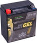 Akumuliatorius motociklams intAct Battery-Power GEL YTX16-BS 12V 14Ah c20 280A цена и информация | Moto akumuliatoriai | pigu.lt