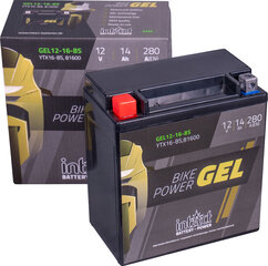 Akumuliatorius motociklams intAct Battery-Power GEL YTX16-BS 12V 14Ah c20 280A kaina ir informacija | Moto akumuliatoriai | pigu.lt