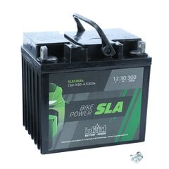 Аккумулятор Intact Garden- Power 12V 30Ah 300A цена и информация | Мото аккумуляторы | pigu.lt