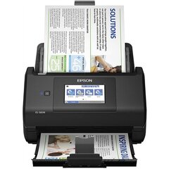 Epson B11B258401, spalvotas kaina ir informacija | Skeneriai | pigu.lt