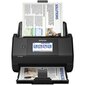 Epson B11B258401, spalvotas цена и информация | Skeneriai | pigu.lt