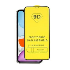 Защитное стекло TakeMe 9D Hybrid, для Apple iPhone XS Max, iPhone 11 Pro Max, черная рамка цена и информация | Защитные пленки для телефонов | pigu.lt